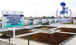 Belediyeden Gazi Mahallesi'ndeki Köpek Saldırısı Açıklaması
