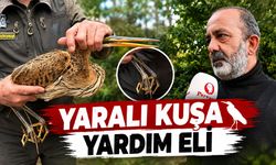 Yaralı Balıkçı Balaban Kuşu Koruma Altına Alındı