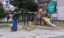 Akşehir’de Cadde ve Refüjlerde Kış Temizliği