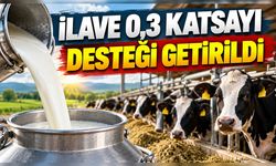 Çiğ Süt Üreticilerine İlave Destek İçin Mesleki Yeterlilik Şartı!