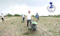 Belediyeden Üreticiye Hibe Desteği