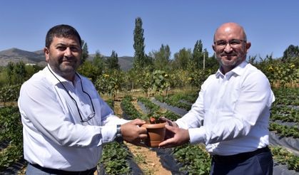 KALKINMA PROJELERİNE YERİNDE İNCELEME (FOTOĞRAFLAR İÇİN TIKLAYINIZ)