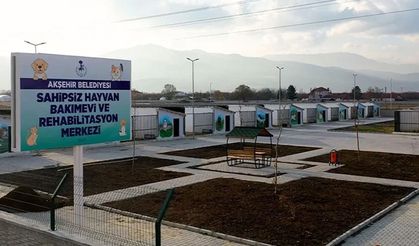 Belediye’den Sokak Hayvanları İçin Mama İhalesi