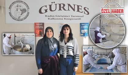 Akşehir Altuntaş Mahallesi'nde Kadın Gücü: Gürnes Kadın Kooperatifi Hikayesi