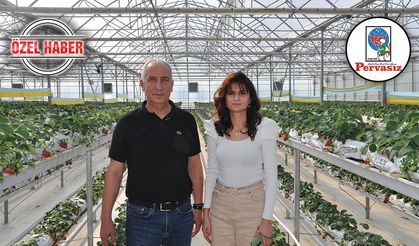 Akşehir’de Enerji Tasarrufu Sağlayan Sera Modeli