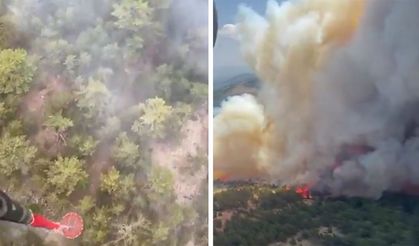 Doğanhisar’daki Orman Yangını Kontrol Altına Alındı