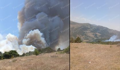 Doğanhisar’da Orman Yangını