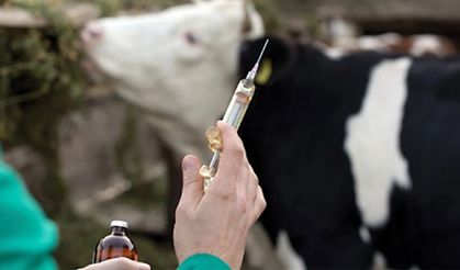 Adsız Mahallesi Karantinaya Alındı