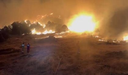 Doğanhisar’daki Orman Yangınında 1 Göz Altı