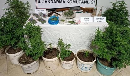 Baskında 420 Gram Esrar ve Silah Ele Geçirildi