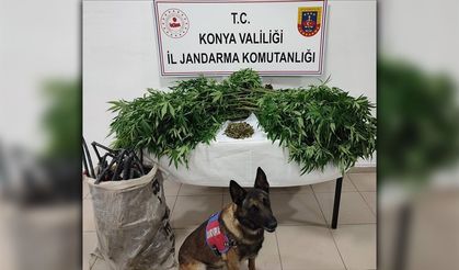 Uyuşturucu ve Silah Operasyonunda Bir Kişi Tutuklandı