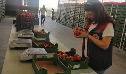 Tuzlukçu’da Üretilen Tarım Ürünlerine İhracat İzni
