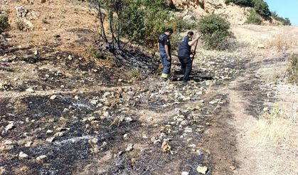 Ormana Sıçramadan Söndürüldü