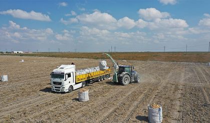 “2027 Yılında Patates Tohumunda Dışa Bağımlılık Bitecek”