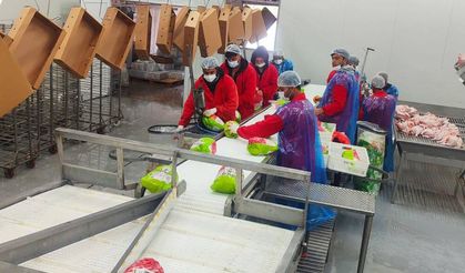 Kesimhane ve Mezbahalar Denetleniyor