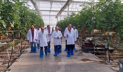 Akşehir ve Tuzlukçu Kaymakamlarından Jeotermal Seraya İnceleme