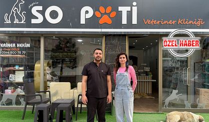 Veteriner Hekim Onur Oğuz’dan Hayvan Sağlığına Dair Önemli Uyarılar