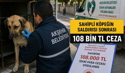 Sahipli Köpeğin Saldırısı Sonrası 108 Bin TL Ceza