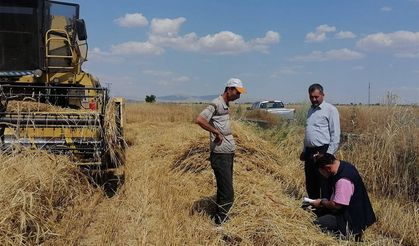 Hububat Hasadında Biçerdöver Denetimleri Sürüyor