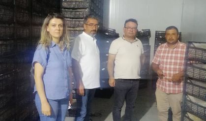 Akşehir’den Manisa’ya Çilek Projesi İçin Teknik İnceleme Gezisi