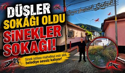 Mahalleli: Koku, Sinek ve Bakımsızlık Yüzünden Cam Açamıyoruz