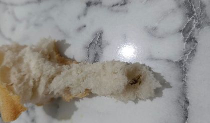 Akşehir’de Ekmekten Yine Böcek ve Kemik Çıktı!