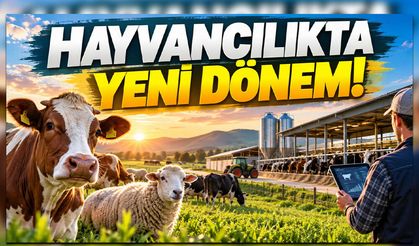 Hayvancılık İşletmelerine Yeni Sınıflandırma