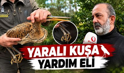 Yaralı Balıkçı Balaban Kuşu Koruma Altına Alındı