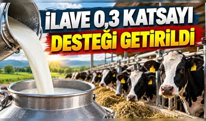 Çiğ Süt Üreticilerine İlave Destek İçin Mesleki Yeterlilik Şartı!