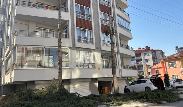 “Budama mı, Katliam mı?”