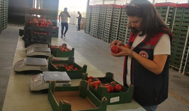 Tuzlukçu’da Üretilen Tarım Ürünlerine İhracat İzni