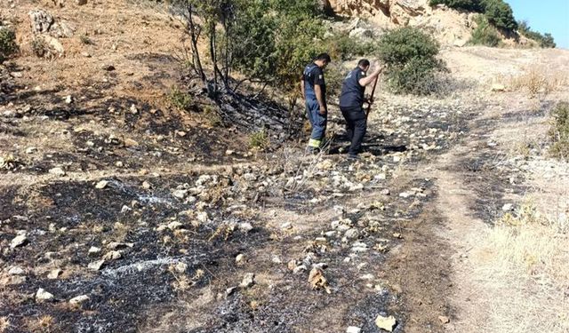 Ormana Sıçramadan Söndürüldü