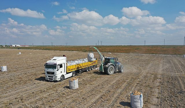 “2027 Yılında Patates Tohumunda Dışa Bağımlılık Bitecek”