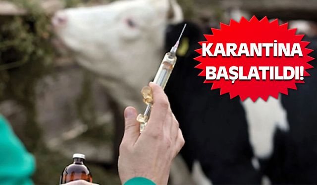 Akşehir Engili Mahallesi'nde Şap Hastalığı Alarmı!