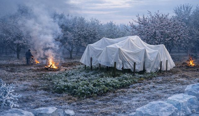 İlçe Tarımdan Zirai Don Uyarısı