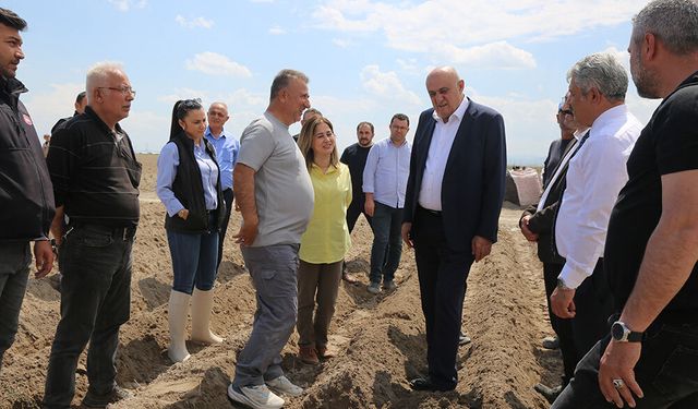 Başkan Erkoyuncu Patates Ekimine Katıldı