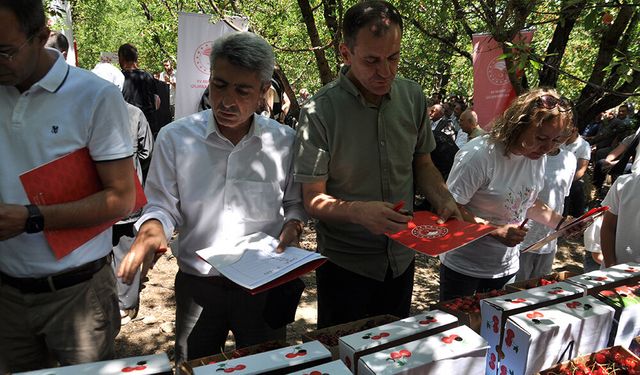 Akşehir Kirazı Hasat Şenliği Coşkuyla Gerçekleştirildi