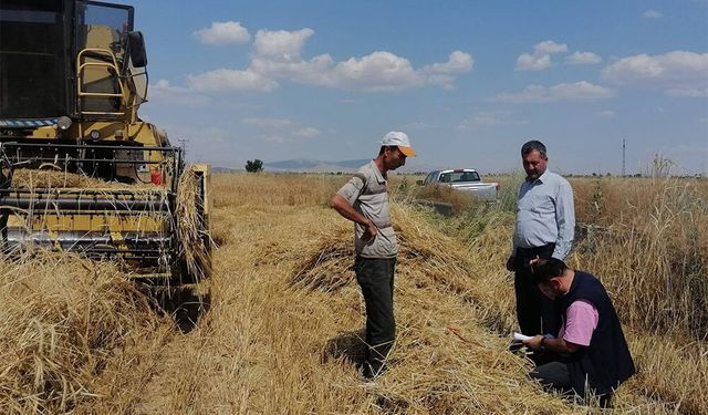 Hububat Hasadında Biçerdöver Denetimleri Sürüyor