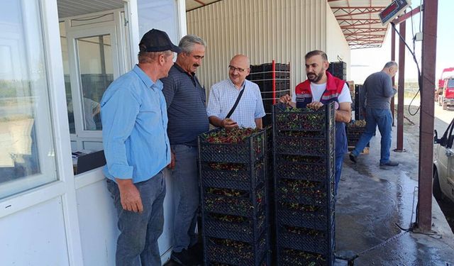İlçe Tarım Müdürlüğü Meyve Hallerinde İncelemelerde Bulundu