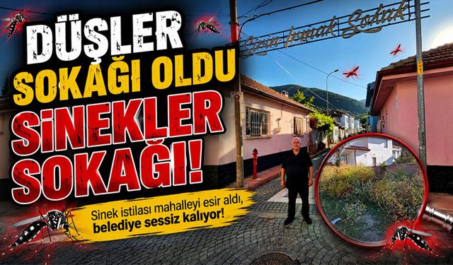 Mahalleli: Koku, Sinek ve Bakımsızlık Yüzünden Cam Açamıyoruz