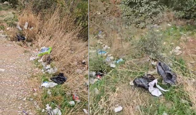 Akşehir Eski Hıdırlık’ta Ormanlık Alanda Görüntü Kirliliği