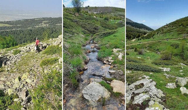 Sevim Uzun’dan Sultandağları’ndaki RES Projesine Tepki