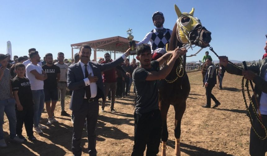 TUZLUKÇU'DA GELENEKSEL MAHALLİ AT YARIŞLARI YAPILDI (FOTOĞRAFLAR İÇİN TIKLAYINIZ)