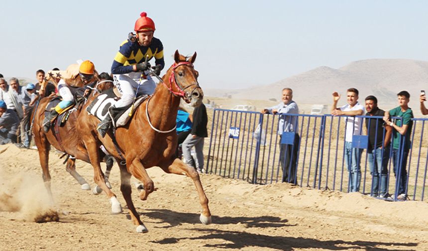 TUZLUKÇU GELENEKSEL AT YARIŞLARI YAĞMUR NEDENİYLE İPTAL EDİLDİ