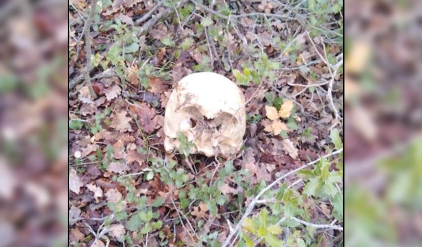 Bulunan Kafatası Bir Erkeğe Ait Çıktı