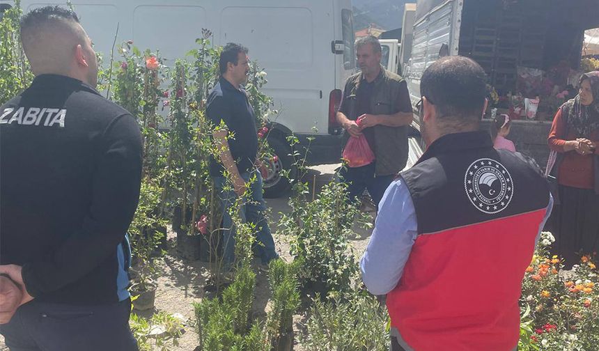 Fide ve Fidan Satış Yerlerine Sıkı Denetim