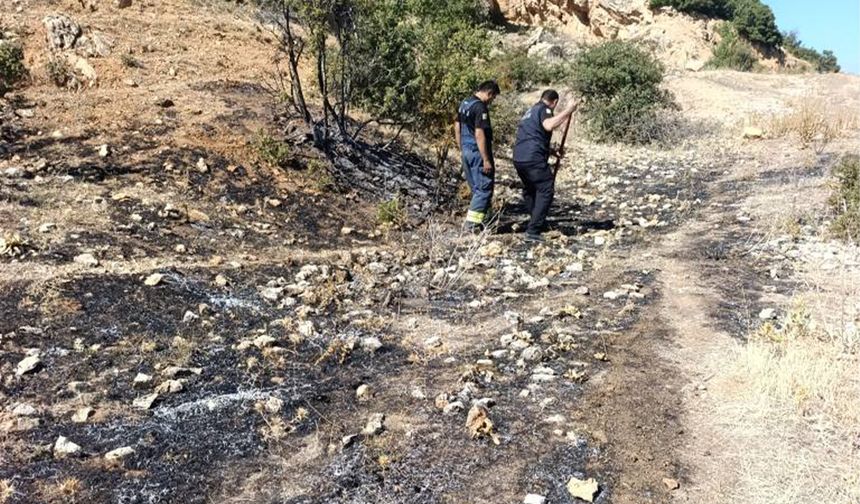 Ormana Sıçramadan Söndürüldü