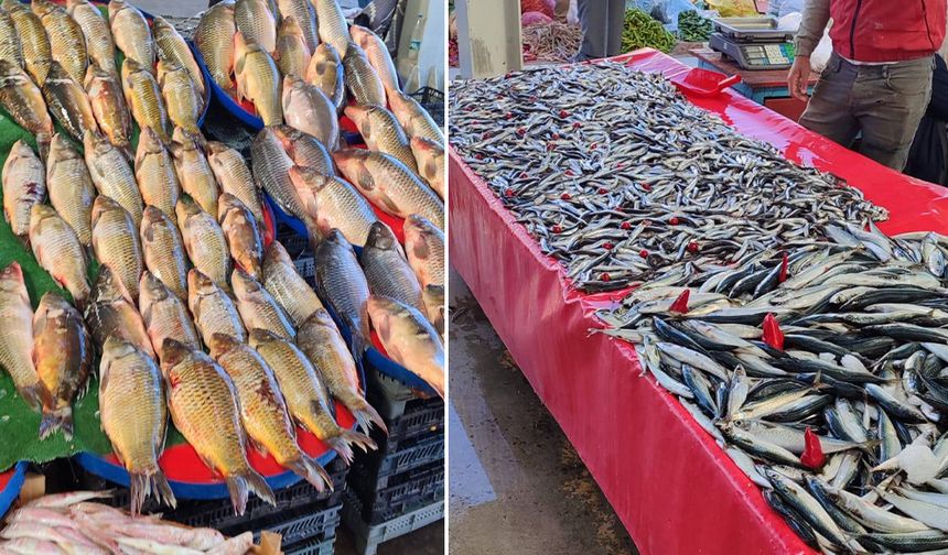 Akşehir’de Su Ürünleri Denetimi