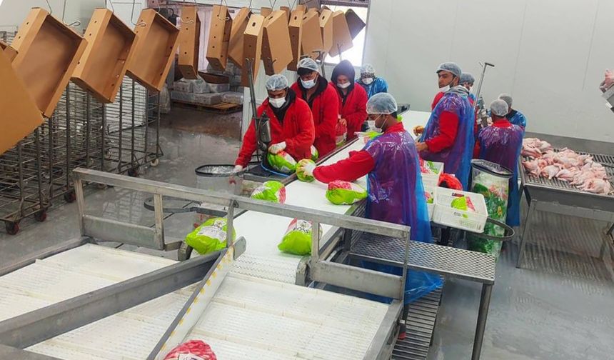 Kesimhane ve Mezbahalar Denetleniyor