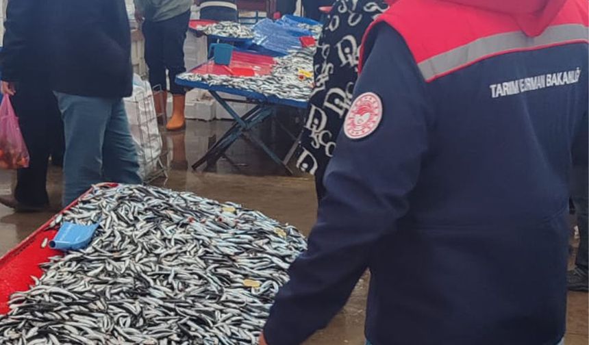 Akşehir’de Balık ve Gübre Denetimi